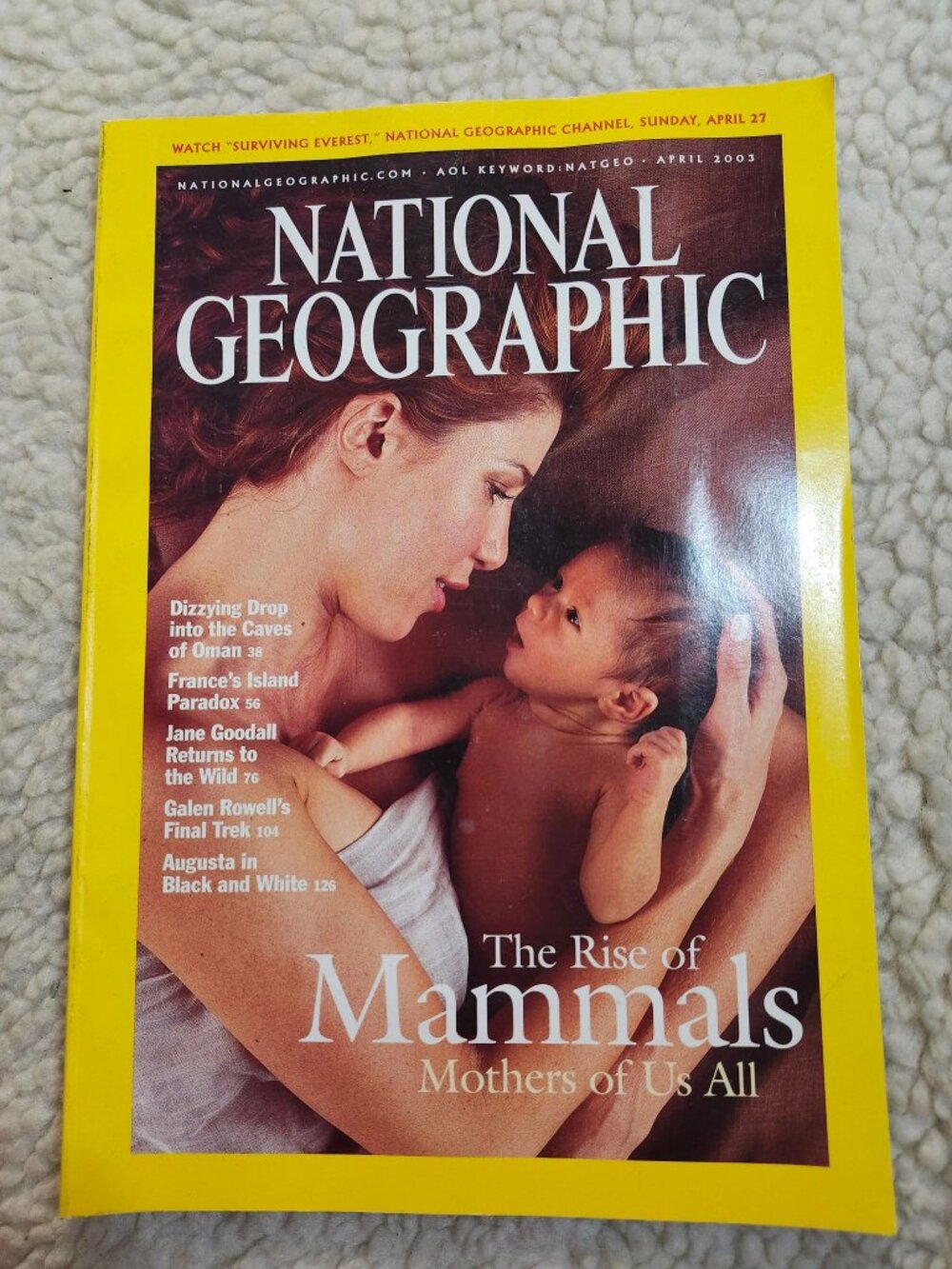 National Geographic Magazine April 2003 The Rise of Mammals Mothers of Us All
